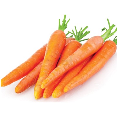 Морковь молодая 1 кг - купить в Малых Нослах